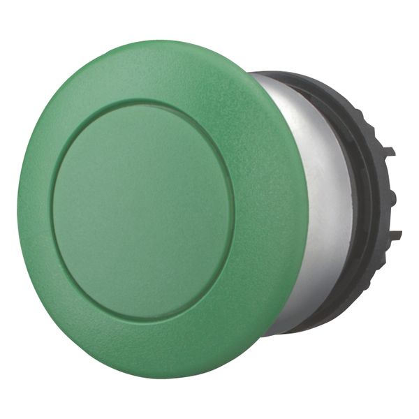Mushroom actuator, RMQ-Titan, Mushroom, momentary, Mushroom green, green, Blank, Bezel: titanium image 4