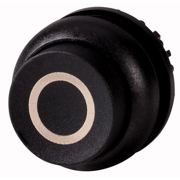 Pushbutton, RMQ-Titan, Extended, maintained, black, inscribed, Bezel: black image 1