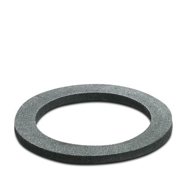 WP-FS IP68 M32 - Flat gasket image 3