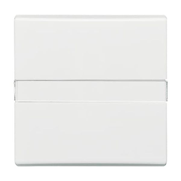 2106 N-34 CoverPlates (partly incl. Insert) carat® Alpine white image 2