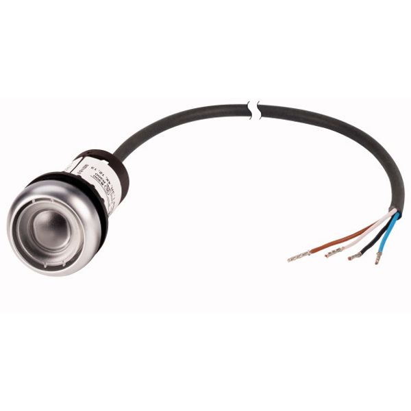 Pushbutton, Flat, momentary, 1 N/O, Cable (black) with non-terminated end, 4 pole, 1 m, Without button plate, Bezel: titanium image 1