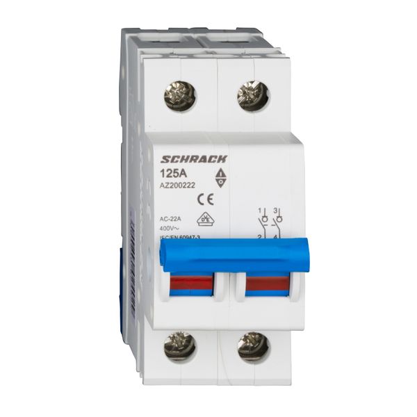 Main Load-Break Switch (Isolator) 125A, 2-pole image 1