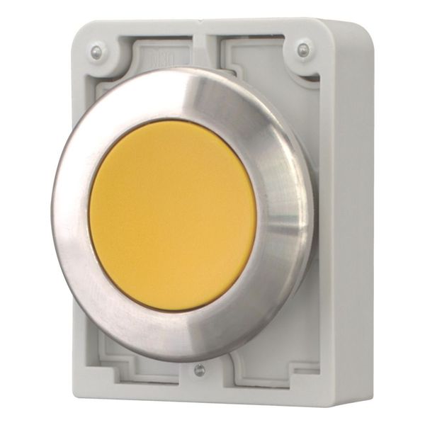 Pushbutton, RMQ-Titan, flat, maintained, yellow, blank, Front ring stainless steel image 6