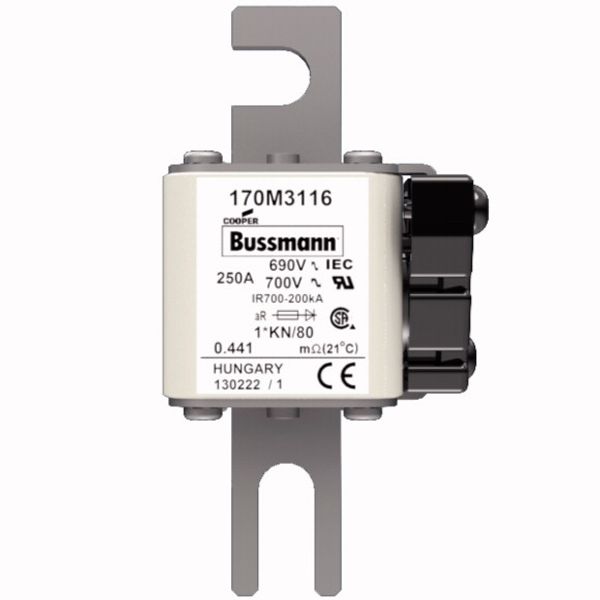 Fuse-link, high speed, 250 A, AC 690 V, compact DIN 1, 45 x 59 x 104 mm, aR, DIN, IEC, single indicator image 1