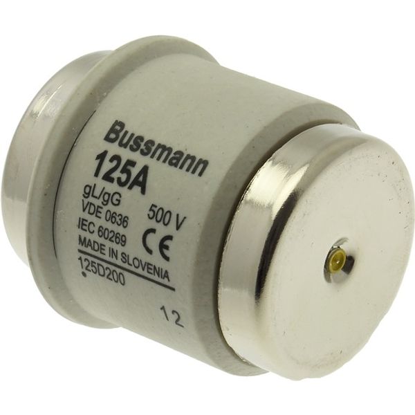 Fuse-link, low voltage, 125 A, AC 500 V, D5, 56 x 46 mm, gL/gG, DIN, IEC, time-delay image 5