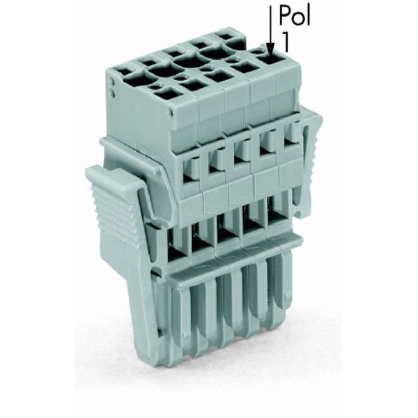 1-conductor female connector CAGE CLAMP® 4 mm² gray image 1
