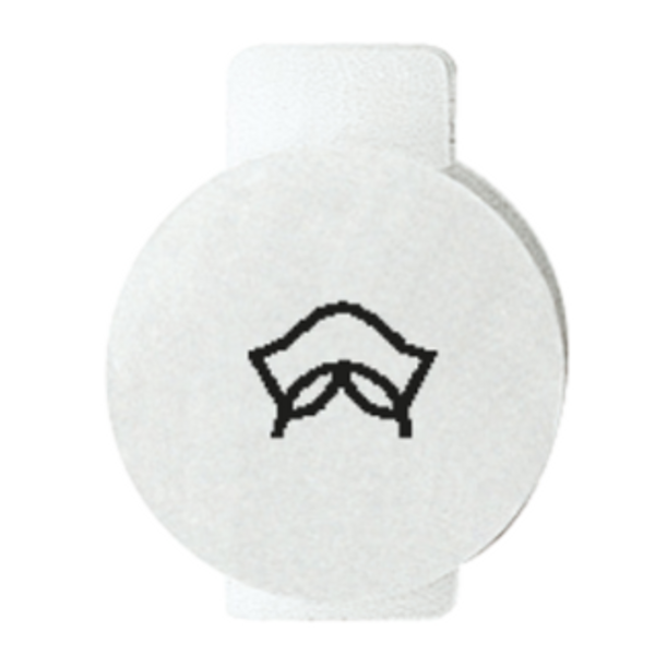 LENS WITH ILLUMINATED SYMBOL FOR COMMAND DEVICES - SERVICE - SYSTEM WHITE image 1