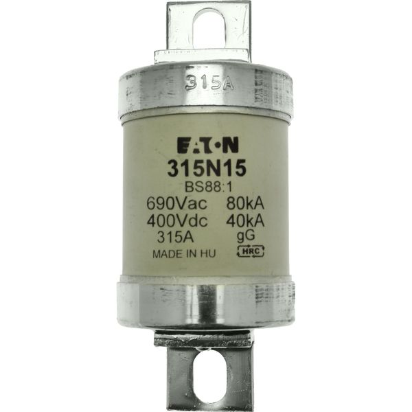 Fuse-link, low voltage, 315 A, AC 660 V, BS88, 49 x 120 mm, gL/gG, BS image 8