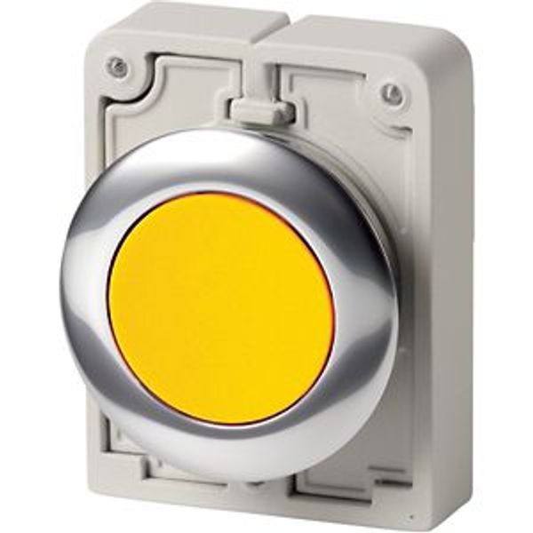 Pushbutton, RMQ-Titan, Flat, momentary, yellow, Blank, Metal bezel image 8