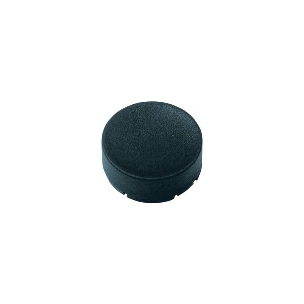 Button plate, raised black, blank image 5