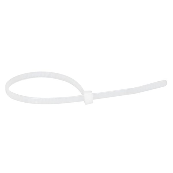 Cable tie Colring - w 3.5 mm - L 280 mm - blister 100 pcs - colourless image 2