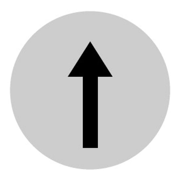 Button lens, flat white, arrow symbol image 1