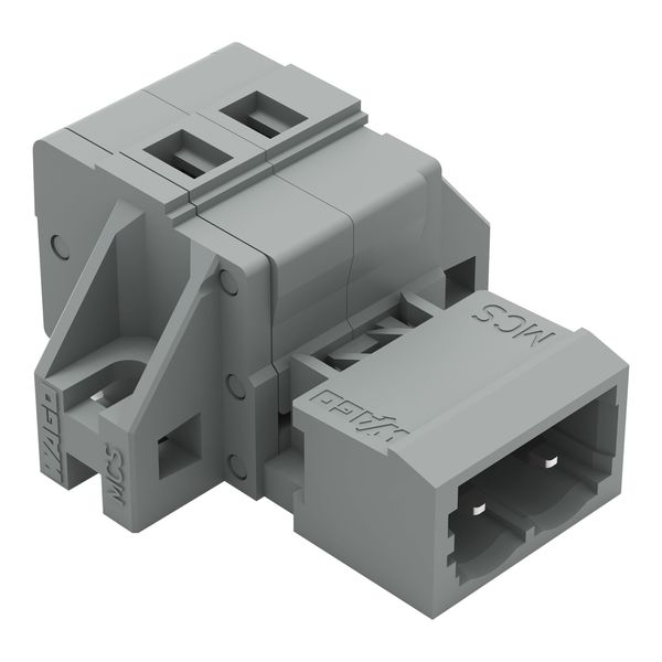1-conductor male connector CAGE CLAMP® 2.5 mm² gray image 5