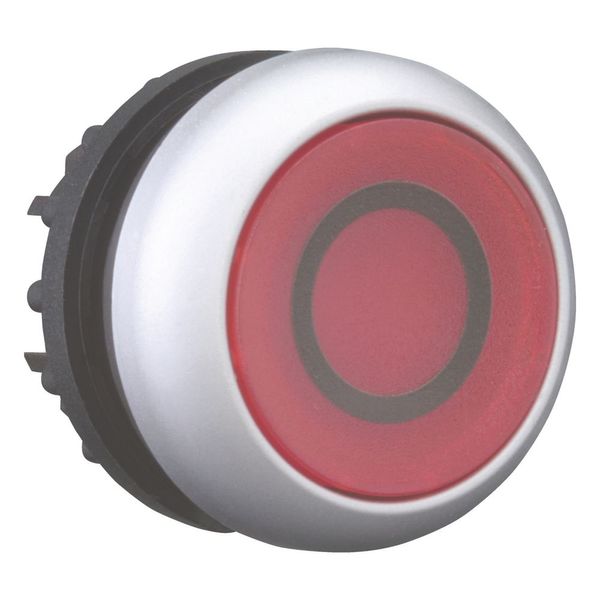 Illuminated pushbutton actuator, RMQ-Titan, Flush, maintained, red, inscribed, Bezel: titanium image 13