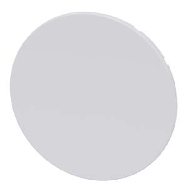 pushbutton, flat, white, for pushbutton image 1