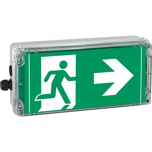 Ex-escape sign luminaires EXIT 2 V-CG-S for zone 2/22, Pictogram: DIN ISO 7010, Arrow: 9 Clock image 6