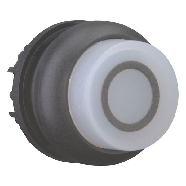 Illuminated pushbutton actuator, RMQ-Titan, Extended, maintained, White, inscribed 0, Bezel: black image 6