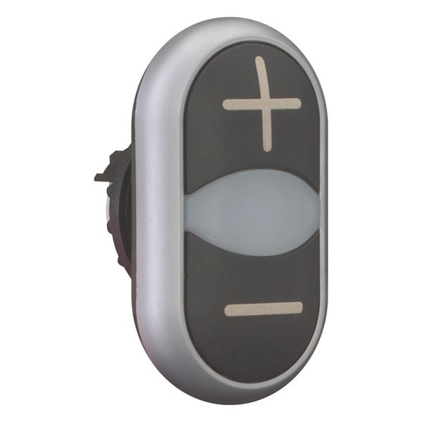 Double actuator pushbutton, RMQ-Titan, Actuators and indicator lights non-flush, momentary, White lens, black, black, inscribed, Bezel: titanium, arro image 11