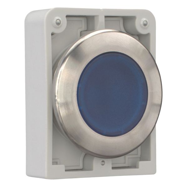 Illuminated pushbutton actuator, RMQ-Titan, flat, momentary, Blue, blank, Front ring stainless steel image 6