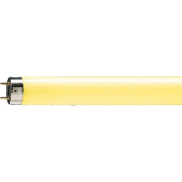 TL-D Colored 36W Yellow 1SL/25 image 8