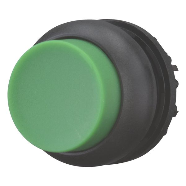 Pushbutton, RMQ-Titan, Extended, momentary, green, Blank, Bezel: black image 3