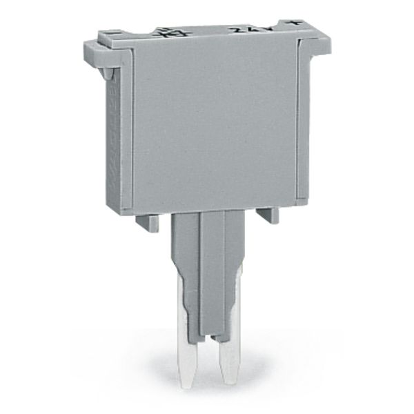 Fuse plug with soldered miniature fuse 500 mA FF gray image 3