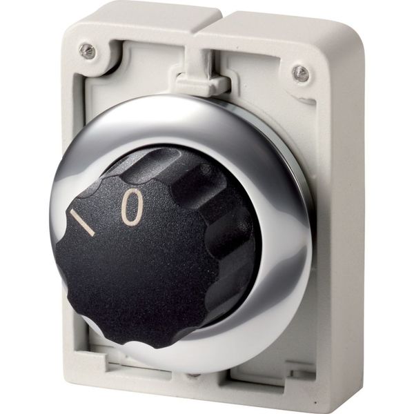 Changeover switch, RMQ-Titan, With rotary head, momentary, 2 positions, inscribed, Metal bezel image 3