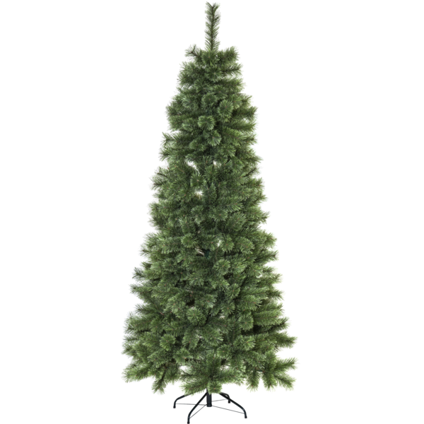 Christmas Tree Cembrini image 1