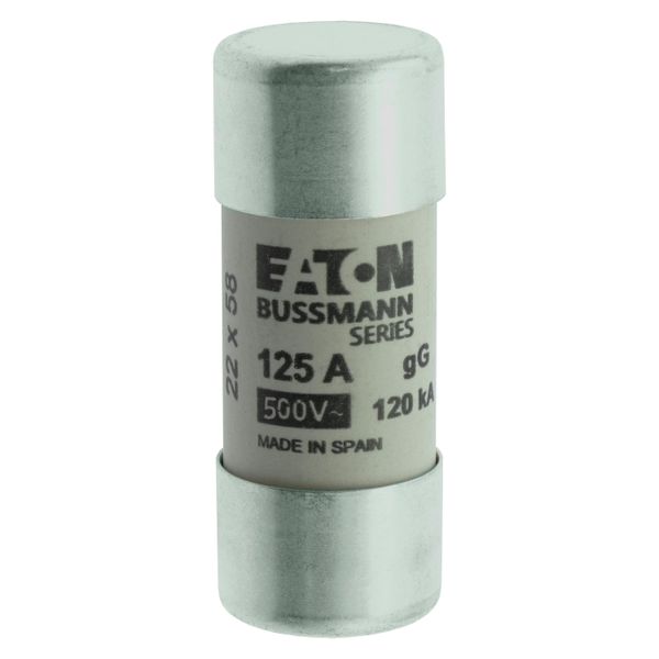 Fuse-link, LV, 125 A, AC 400 V, 22 x 58 mm, gL/gG, IEC image 17