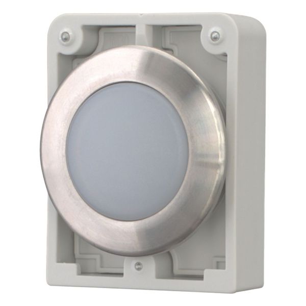 Indicator light, RMQ-Titan, flat, white, Front ring stainless steel image 6