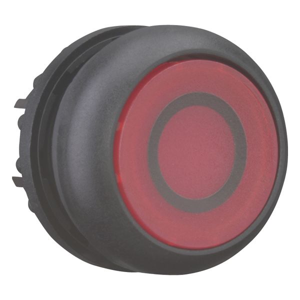 Illuminated pushbutton actuator, RMQ-Titan, Flush, momentary, red, inscribed, Bezel: black image 6