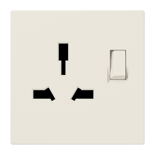 Combo switched socket insert LS4171GISW image 1