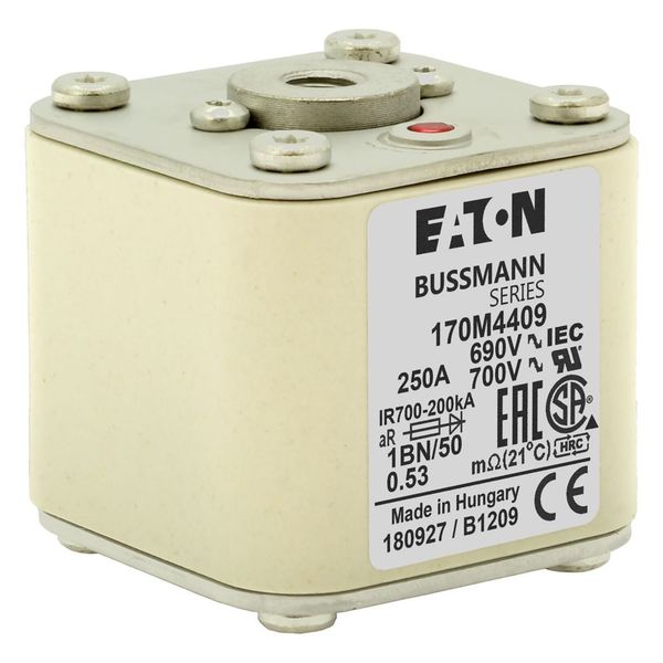 Fuse-link, high speed, 250 A, AC 690 V, size 1, 53 x 69 x 51 mm, aR, IEC, UL, single indicator, flush end, M8 image 15