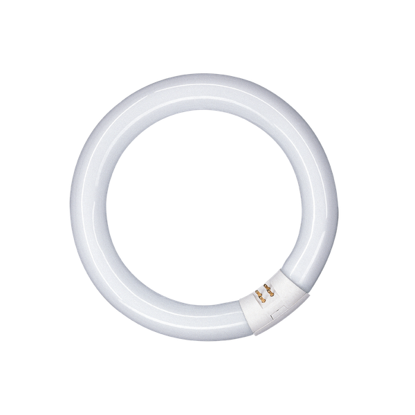 Circular Fluorescent Tube G10q 32W/830 T9 D300 PATRON image 1