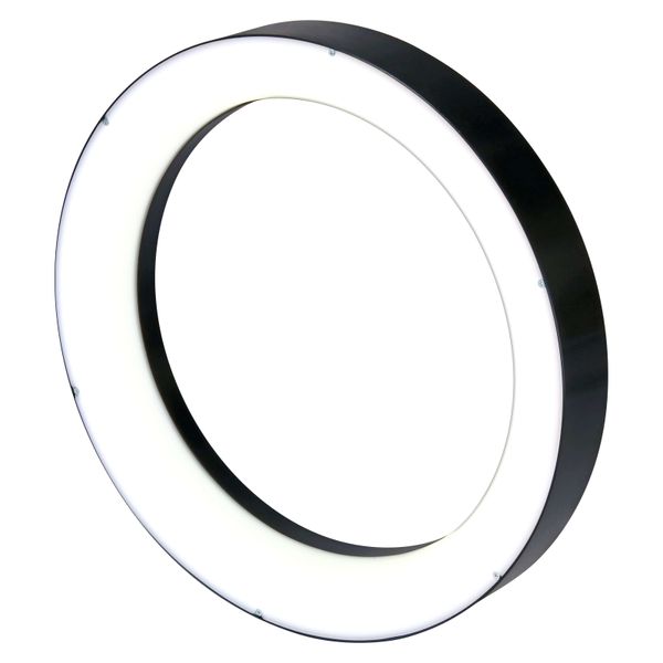 Photometoric Stereo Light, inner Diameter 200 mm, outer Diameter 260 m image 2