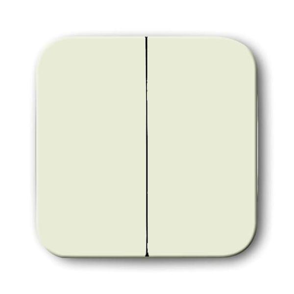 2545-212 CoverPlates (partly incl. Insert) carat® White image 2
