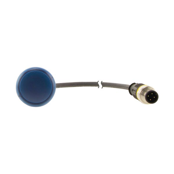 Indicator light, Flat, Cable (black) with M12A plug, 4 pole, 0.5 m, Lens Blue, LED Blue, 24 V AC/DC image 8