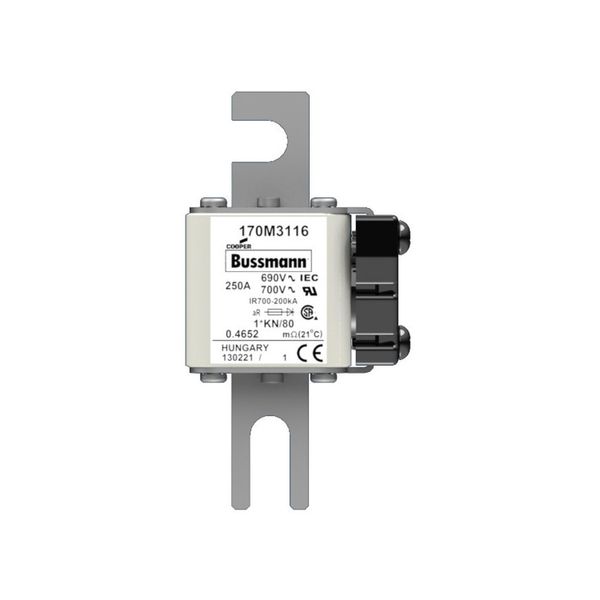 Fuse-link, high speed, 250 A, AC 690 V, compact size 1, 43 x 60 x 110 mm, aR, DIN, IEC, single indicator image 6