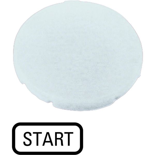 Button plate, flat white, START image 4