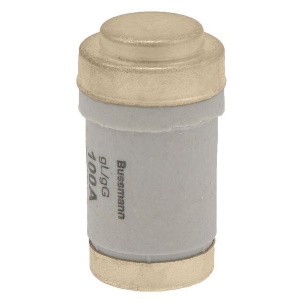 Fuse-link, LV, 100 A, AC 400 V, D03, gL/gG, IEC, time-delay image 8