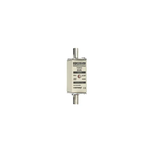 Fuse-link NH000 gG 690VAC 63A live tags Double indicator image 2