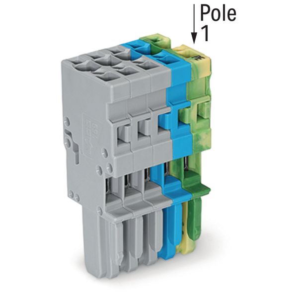 1-conductor female connector CAGE CLAMP® 4 mm² gray/blue/green-yellow image 5