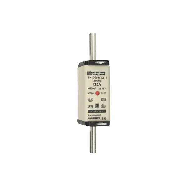 Fuse-link NH1 gG 500VAC 125A isolated tags Double indicator image 2