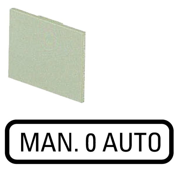 Insert label, HAND 0 AUTO image 1