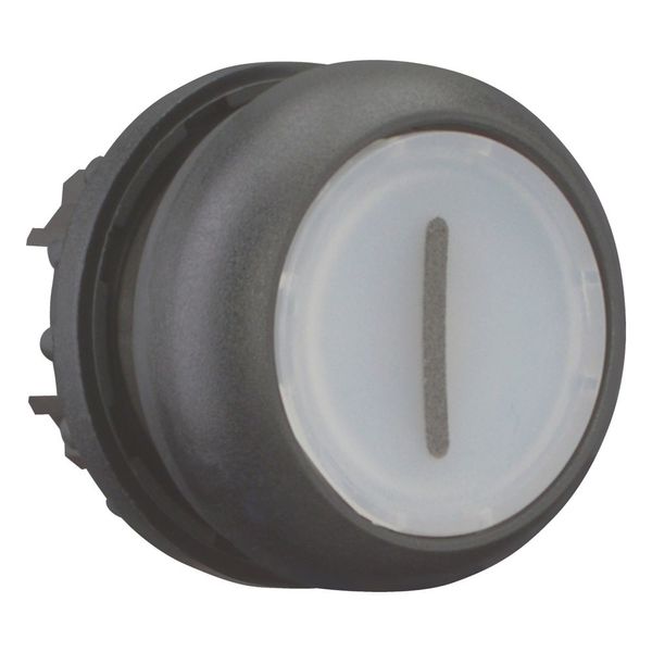 Illuminated pushbutton actuator, RMQ-Titan, Flush, momentary, White, inscribed 1, Bezel: black image 7