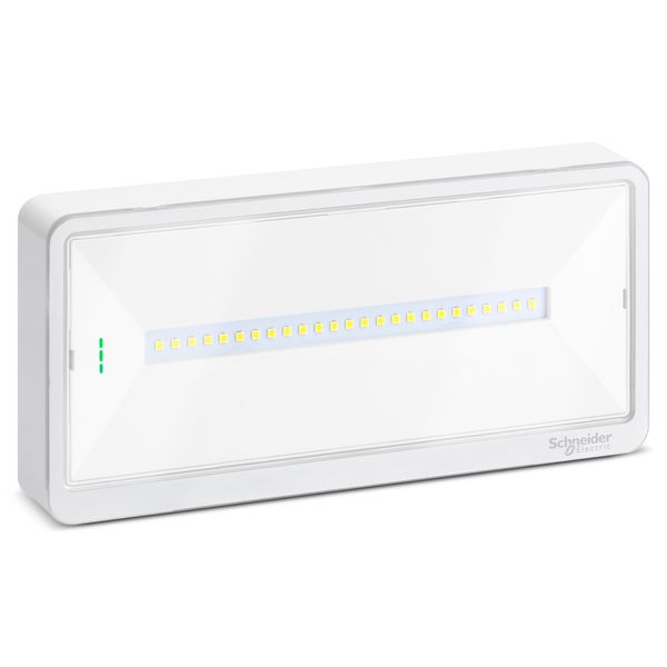 Emergency luminaire, Exiway Light, selectable duration, up to 100 lm, IP65, LED image 3