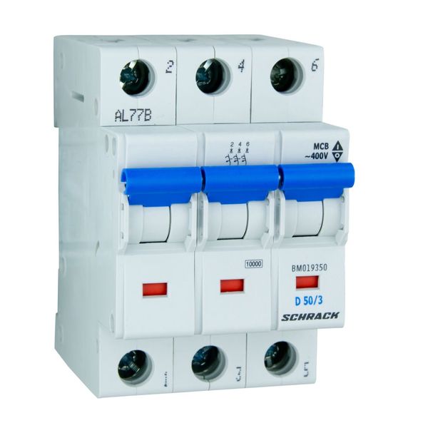 Miniature Circuit Breaker (MCB) D, 50A, 3-pole, 10kA image 2