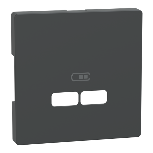 System Design central plate USB charger anthracite image 4