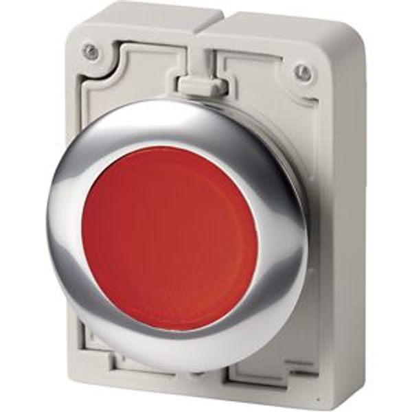 Illuminated pushbutton actuator, RMQ-Titan, Flat, maintained, red, Blank, Metal bezel image 8