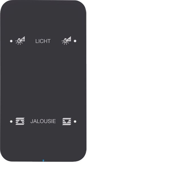 Touch sensor, 2-gang comf, intg bus coupling unit, KNX - R.1, glass bl image 1